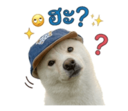 880136870