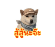 880139491
