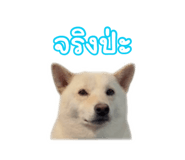 880139495