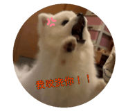 880154344