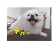 880154347