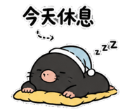 880154607
