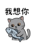 880157919