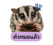 880205921