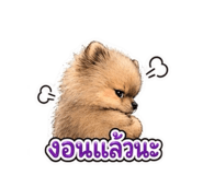880214042
