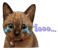 880214095
