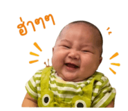 880216262
