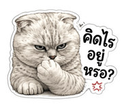 880221424