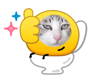 880224153