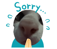 880224158