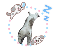 880224168