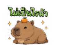 880228403