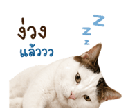 880229008