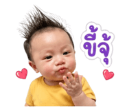 880234293