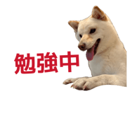 880248969