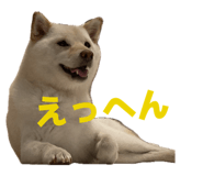 880248973