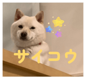880248974