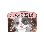 880249713