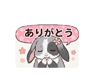 880249714