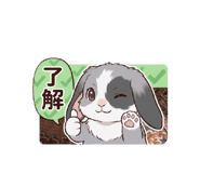 880249716