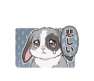880249717