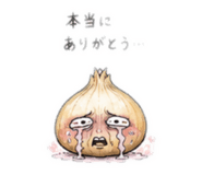 880250621