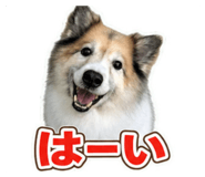 880250901