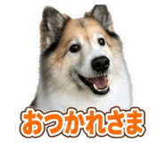 880250902