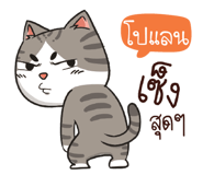 880261892