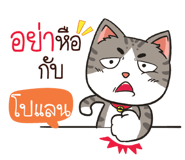 880261902