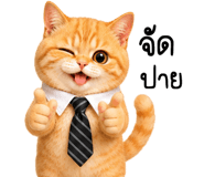 880287251