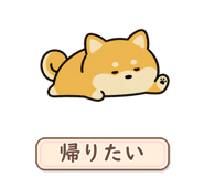880296244