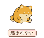 880296252