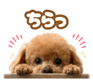 880335743