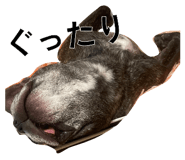 880336743