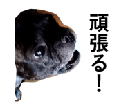 880336754