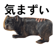 880336764