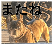 880336774