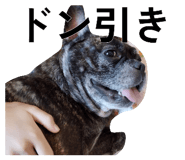880336776