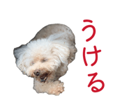880336951
