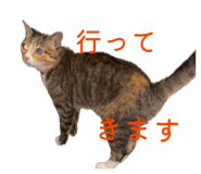 880336953
