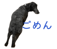 880336959