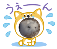880337050