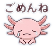 880337236