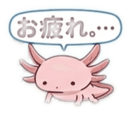 880337242