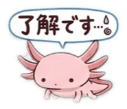 880337244