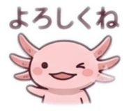880337256