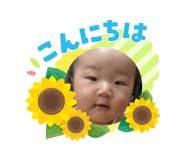 880337262