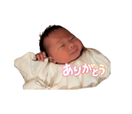 880337392