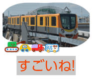 880337805